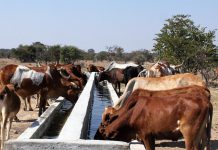 livestock watersolution