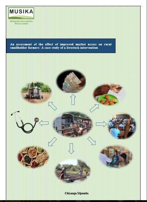 An assessment of the effect of improved market access on rural smallholder farmers: A case study of a livestock intervention