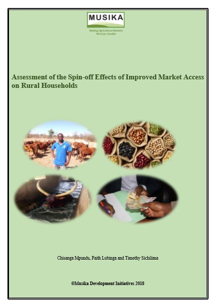 Assessment of the Spin-off Effects of Improved Market Access on Rural Households