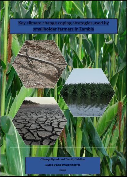 Key climate change coping strategies by smallholder farmers in Zambia