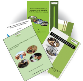 Research Reports
